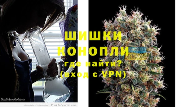 бошки Алексин